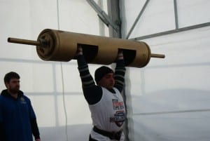 Anleo Log Lift 2014 p2